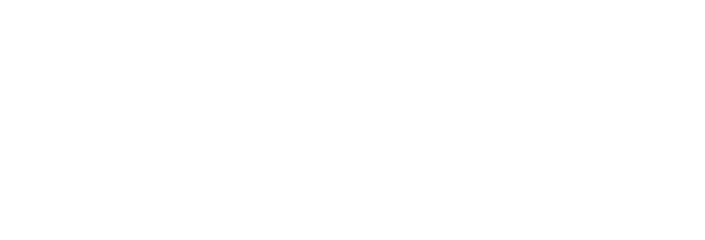 Camoli Investments, LLC BBB Business Review